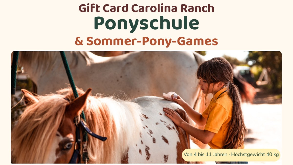 Ponyschule und Pony-Games